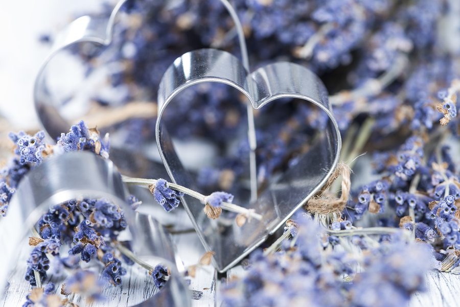 Lavender and Heart Shapes (close-up shot) for background use